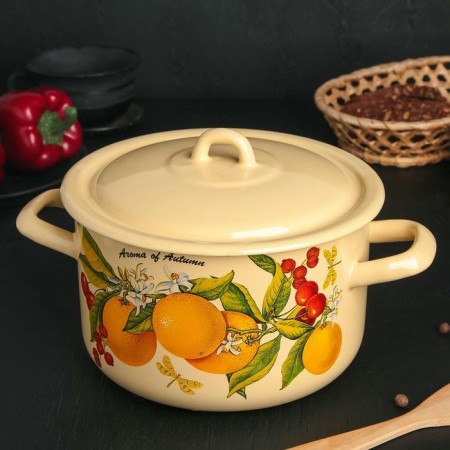 Набор кастрюль Фруктовая фантазия №001 1,45л, 2,9л, 4,3л С-001/4КмЭ