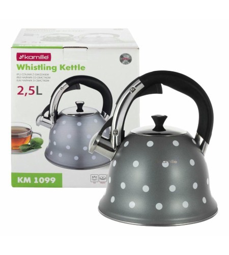 Чайник Kamille нжс 2,5л цвет в ассортименте 1099