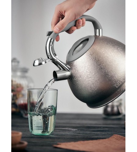 Чайник TalleR 3л TR-11353