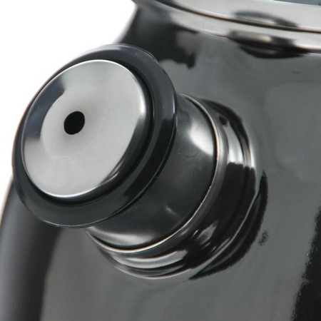 Чайник сферический Bon Appétit 3л мокрый асфальт 1RC12