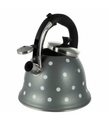 Чайник Kamille нжс 2,5л цвет в ассортименте 1099