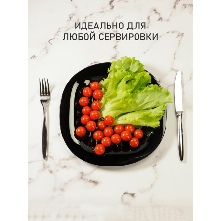 Тарелка обеденная Luminarc Carine 27см черная