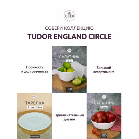 Тарелка обеденная 26см Tudor England Royal Circle