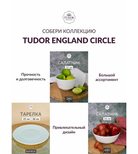 Тарелка обеденная 26см Tudor England Royal Circle