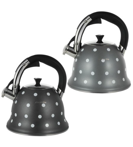 Чайник Kamille нжс 2,5л цвет в ассортименте 1099