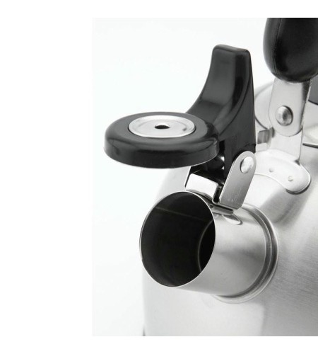 Чайник Hitt Standard Plus H01022 2,5л капсулированное дно