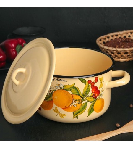 Набор кастрюль Фруктовая фантазия №001 1,45л, 2,9л, 4,3л С-001/4КмЭ