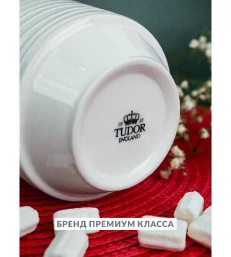 Кружка Tudor England Royal Circle 350мл TU2309