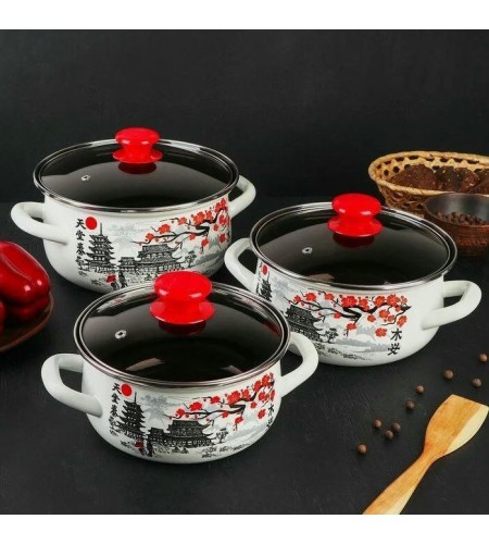 Набор кастрюль Ветка сакуры Экстра 3шт.