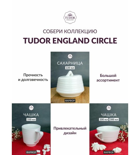 Тарелка обеденная 26см Tudor England Royal Circle