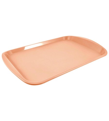 Поднос прямоугольный Plast Team 470х330мм PT9216